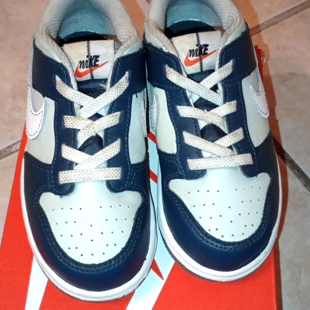 Nike dunks